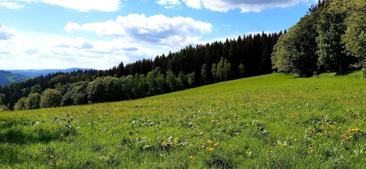 Apartman Hygge Bratrouchov Jablonec nad Jizerou Eksteriør bilde